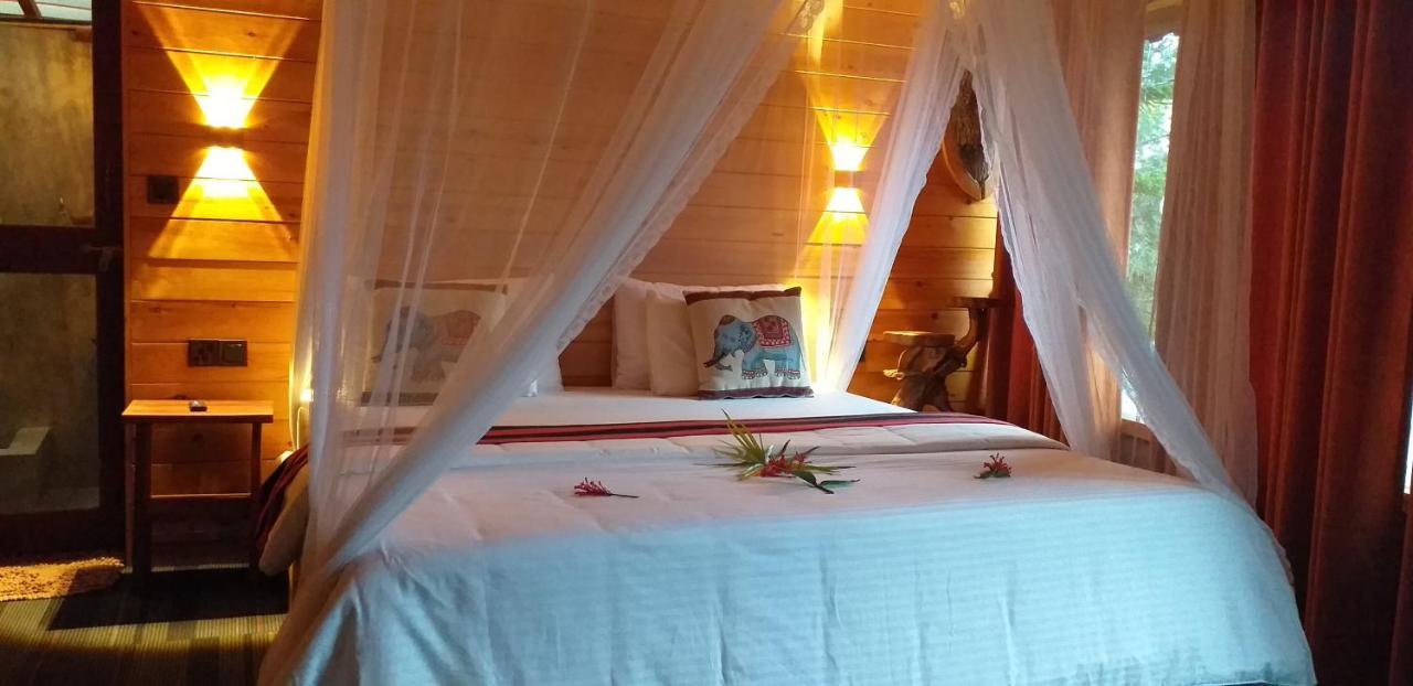 Mc Queen Homestay Ella Extérieur photo